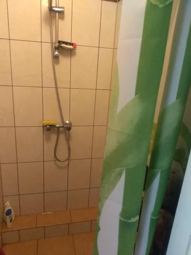 a bathroom with a shower with a shower curtain at Domek Letniskowy Rożnów-Zapora in Rożnów