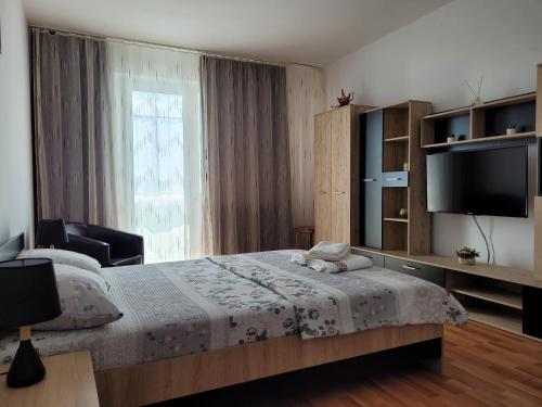 een slaapkamer met een bed en een flatscreen-tv bij Apartament YRM in Sighişoara