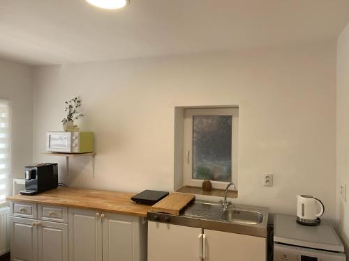 a kitchen with a counter with a sink and a microwave at Apartmány na Vršku in Pilsen