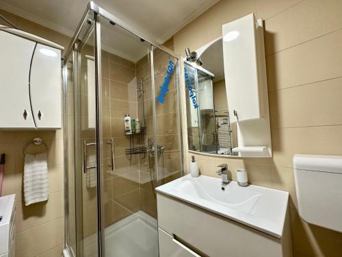 La salle de bains est pourvue d'une douche et d'un lavabo. dans l'établissement Belgrade Apartment 1, à Zvezdara
