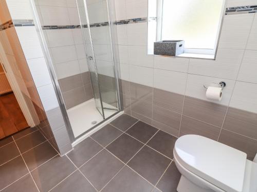 a bathroom with a shower and a toilet at Gap of Dunloe in Derrylea