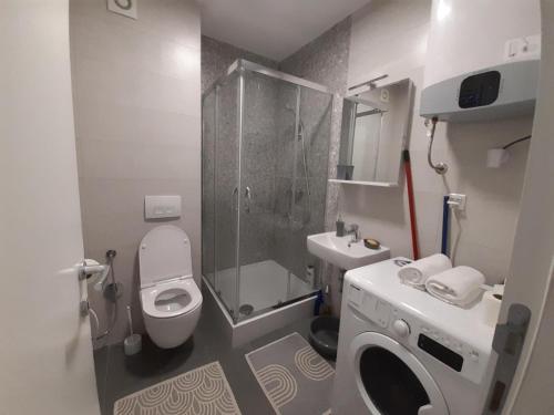 ビイェラシュニツァにあるApartment Bjelasnica DAHのバスルーム(シャワー、トイレ、シンク付)