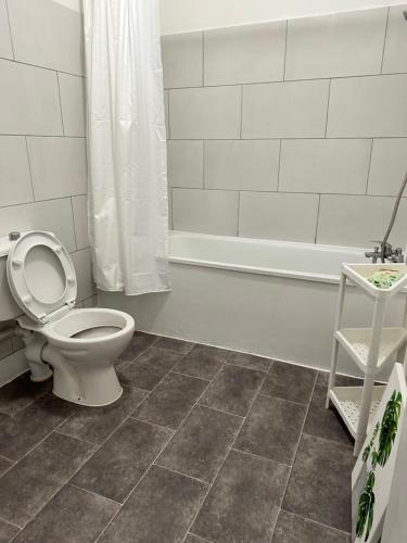 a bathroom with a toilet and a bath tub at 3 bedroom house with garden in Tottenham london in London