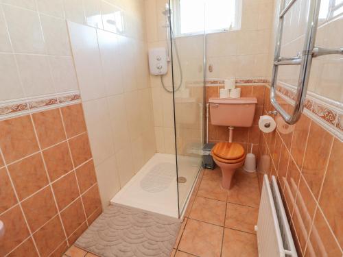 a bathroom with a shower and a toilet at Mullagh Road in Milltown Malbay