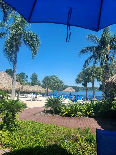 Bahama Bay 116 photo 9