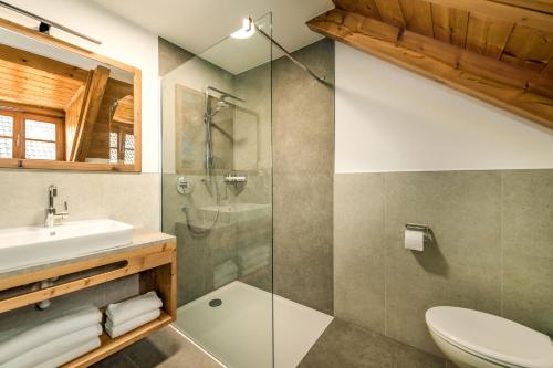 a bathroom with a shower and a toilet and a sink at Apartments Perfila Dolomitenblick in Valdaora