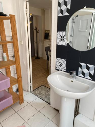 uma casa de banho com um lavatório e um espelho em Appartement de caractère hyper centre em Ploërmel