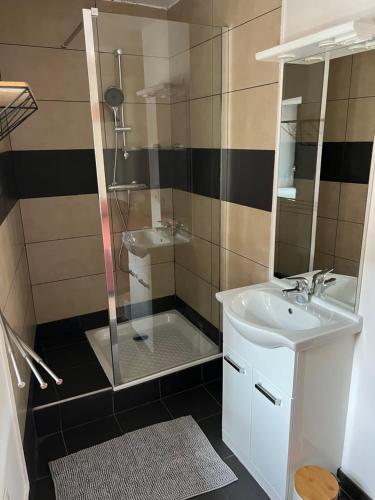 une salle de bain avec douche et lavabo dans l'établissement « Petit Paris » - T2 centre ville Parking/balcon, à Albertville