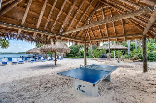 Bahama Bay 116 photo 63