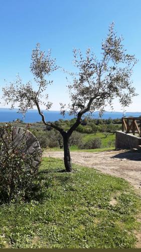 Casa laggiù – Photos 2