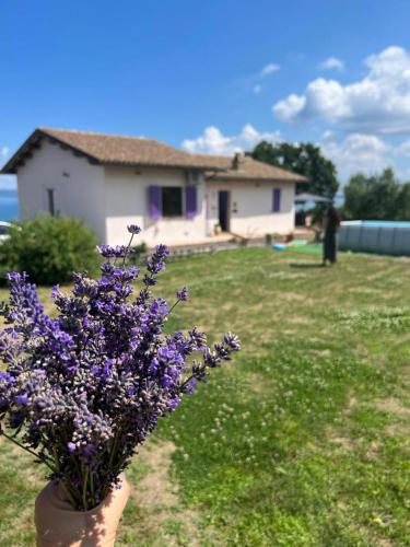 a vase with purple flowers in front of a house at Casa laggiù in Gradoli
