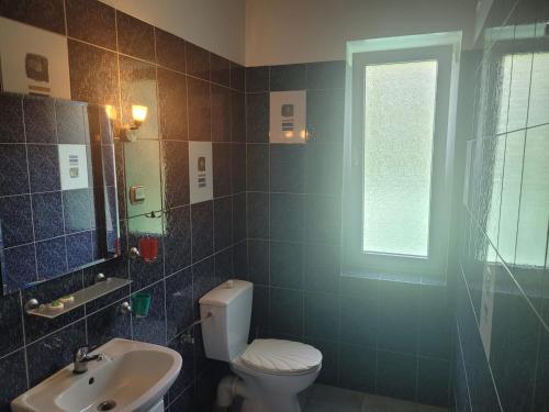 ein Bad mit einem WC, einem Waschbecken und einem Fenster in der Unterkunft Albert Turystyczne Usługi Hotelarskie in Warschau
