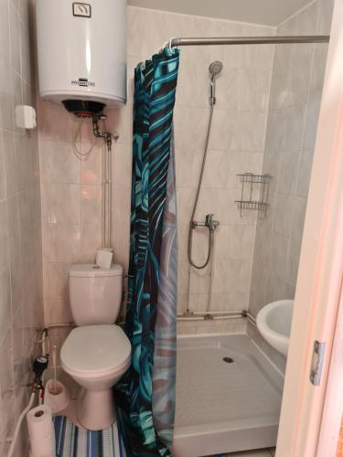 a bathroom with a toilet and a shower curtain at Apartment Võru vanalinnas in Võru