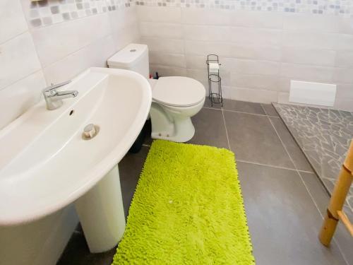 bagno con lavandino e servizi igienici con tappeto verde di La Santa Clara - Studio climatisé a Saint-Pierre