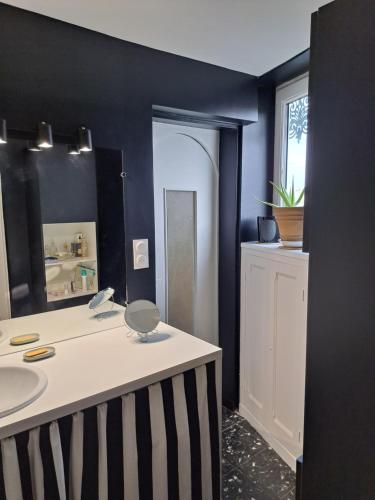 La salle de bains est pourvue d'un lavabo et d'un miroir. dans l'établissement vue sur Rhône, à Lyon