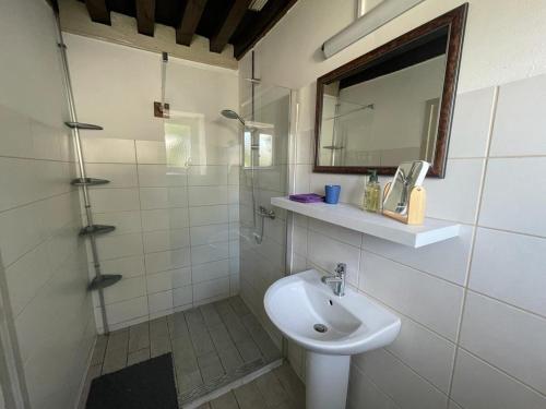 een witte badkamer met een wastafel en een douche bij Maison Lavande in Blismes