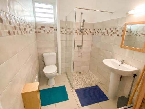 a bathroom with a toilet and a sink and a shower at La Kalenda - Studio climatisé in Saint-Pierre