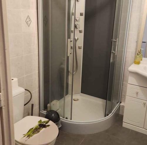 une salle de bain avec douche et toilettes dans l'établissement Agréable Appartement F3 climatisé, à Corte