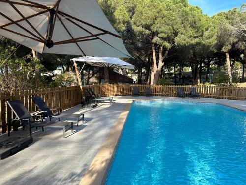 - une piscine avec des chaises et un parasol dans l'établissement Résidence Tramariccia, à Calvi