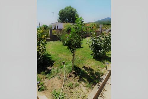 Zahrada ubytování Asprovalta Nikos House