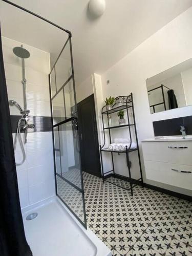 une salle de bain avec une douche, un lavabo et un miroir dans l'établissement Une pause entre Mer et Marais, à Niort