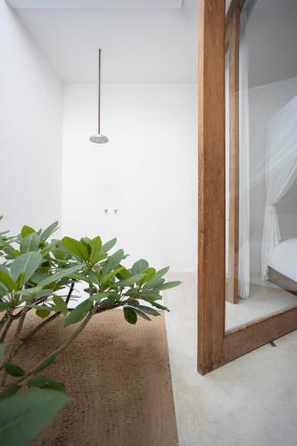 a room with a mirror and a potted plant at KA BRU 1100 Boutique Hotel in Taipu