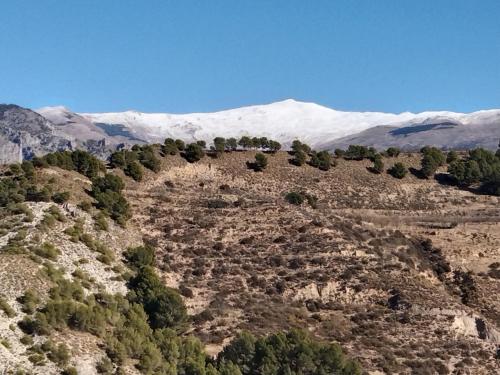 Φυσικό τοπίο κοντά σε αυτό το bed & breakfast