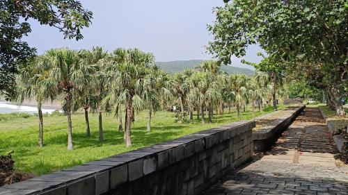 a retaining wall next to a field with palm trees at La View 麗晨 Homestay in Manzhou