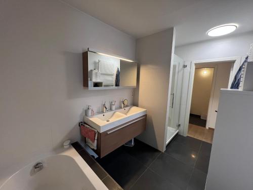 a bathroom with a sink and a bath tub at Large Luxury Business Apartment Geel in Geel