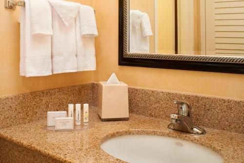 a bathroom counter with a sink and a mirror at Courtyard Chicago Arlington Heights/South in Arlington Heights