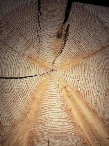 a close up of the rings of a piece of wood at La Rêverie de Thumel - Suite in Rhêmes-Notre-Dame