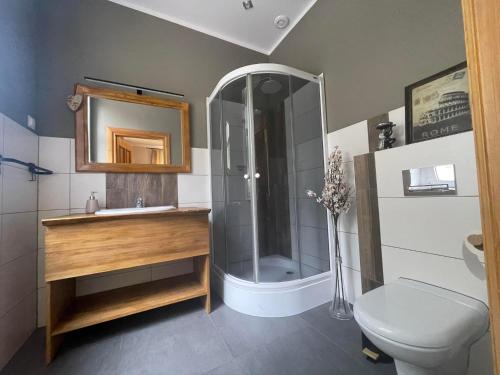 uma casa de banho com um chuveiro, um WC e um lavatório. em Sunny Bear Bed & Breakfast em Jelenia Góra