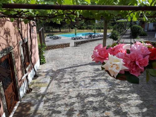 um ramo de flores num cesto pendurado ao lado de uma piscina em Quintinha de Santiago em Oliveira de Azemeis
