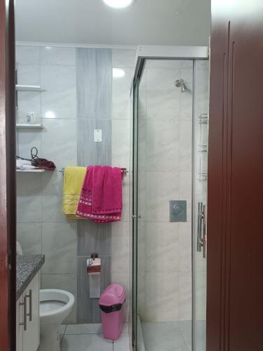 a bathroom with a glass shower and a toilet at Apartment Matisse in Cochabamba