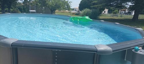 une piscine avec une grenouille verte dans l'eau dans l'établissement GITE les p'tites cagouilles, à Saint-Germain-du-Seudre