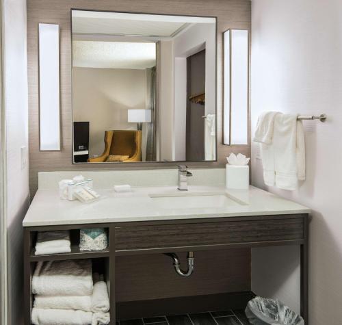 a bathroom with a sink and a mirror at Hilton Garden Inn Las Colinas in Irving