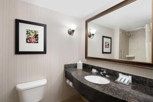 a bathroom with a sink and a mirror and a toilet at Hilton Garden Inn Denver Highlands Ranch in Highlands Ranch