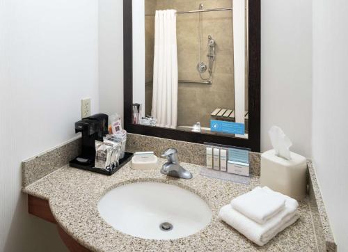 a bathroom counter with a sink and a shower at Hampton Inn & Suites Clovis Airport North in Clovis