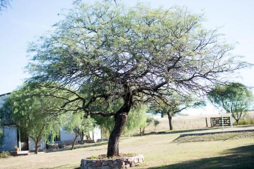 Estancia Guayascate – Photos 3