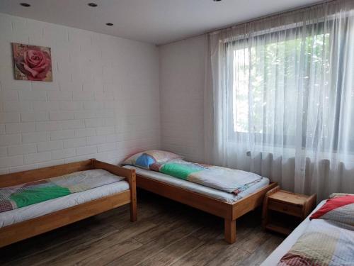 - 2 lits jumeaux dans une chambre avec fenêtre dans l'établissement Gemütliche Wohnung OB12-EG- Wildpark Mainz, à Mayence
