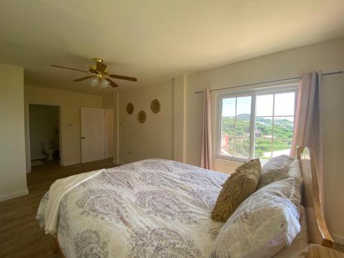 a bedroom with a bed with a ceiling fan and a window at Coral Cottage of Prospect in Kingstown