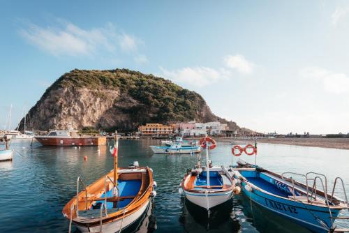 a group of boats docked in a harbor with an island at Hotel Villa Sirena in Ischia