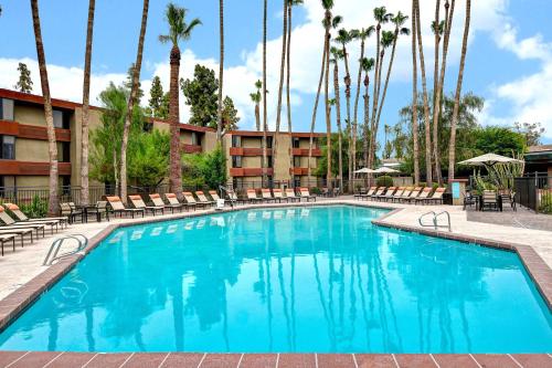 DoubleTree by Hilton Phoenix- Tempe Image