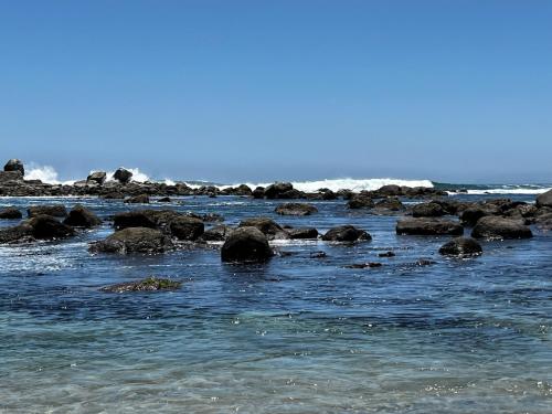 a group of rocks in the water on a beach at Algarrobo Espectacular piso 10 vista bahía in Algarrobo