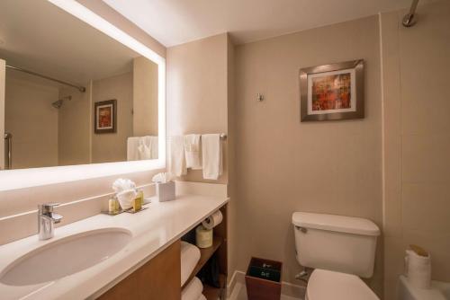 ein Badezimmer mit einem Waschbecken, einem WC und einem Spiegel in der Unterkunft DoubleTree by Hilton Atlanta North Druid Hills/Emory Area in Atlanta