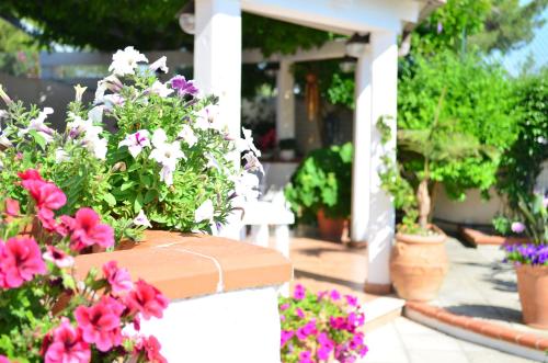 a group of potted flowers on a porch at B&B Le Vele in Maruggio