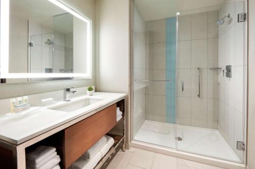 聖地牙哥的住宿－聖地亞哥/海洋世界區希爾頓惠庭套房酒店，一间带水槽和淋浴的浴室
