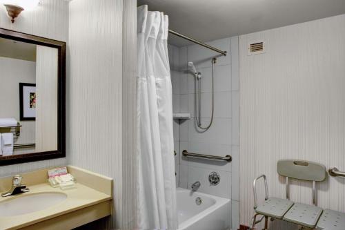 een badkamer met een douche, een wastafel en een bad bij Hilton Garden Inn Atlanta North/Alpharetta in Alpharetta