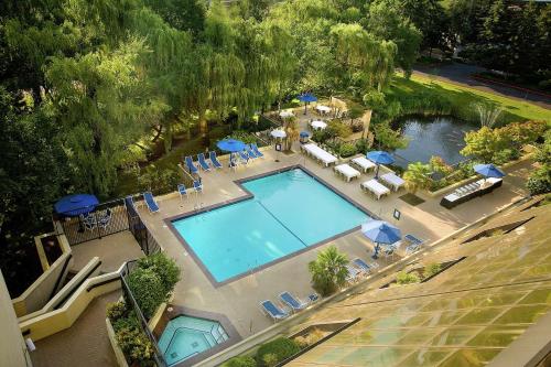 an overhead view of a swimming pool with chairs and umbrellas at Hilton Bellevue in Bellevue