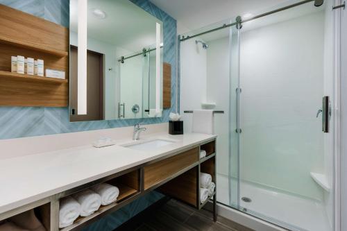 y baño con lavabo y ducha. en Hilton Garden Inn Apopka City Center, Fl en Orlando